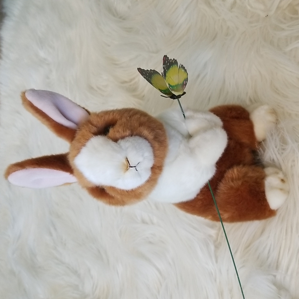 Plush Bunny